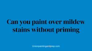 Can you paint over mildew stains without priming