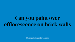 Can you paint over efflorescence on brick walls