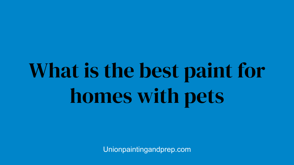 What is the best paint for homes with pets
